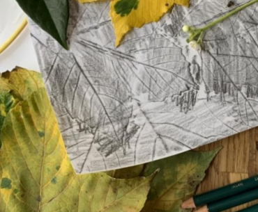 Drawing with Nature