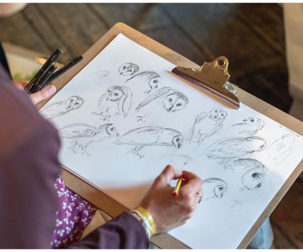 A person drawing a picture of an owl