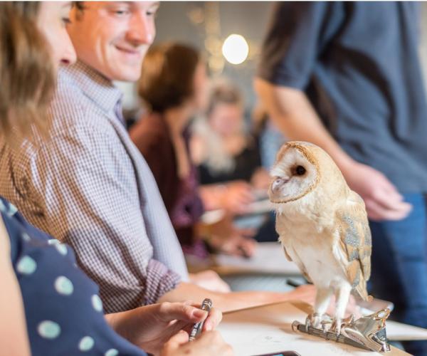 A person drawing a picture of an owl