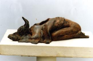 Clive Duncan's Pasiphae and the skin of the cow