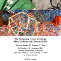 The Temporary Nature Change by Deborah Duffin