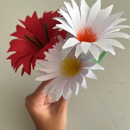 A Hand holding 3 white and red paper flowers